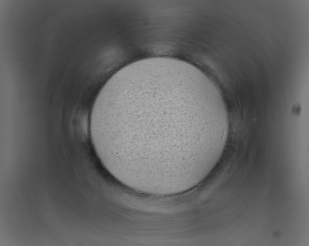 X0000094330028200711241839