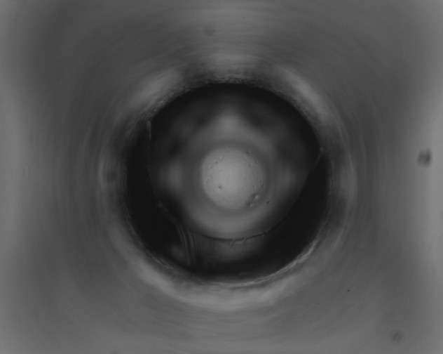 X0000094330029200711241839