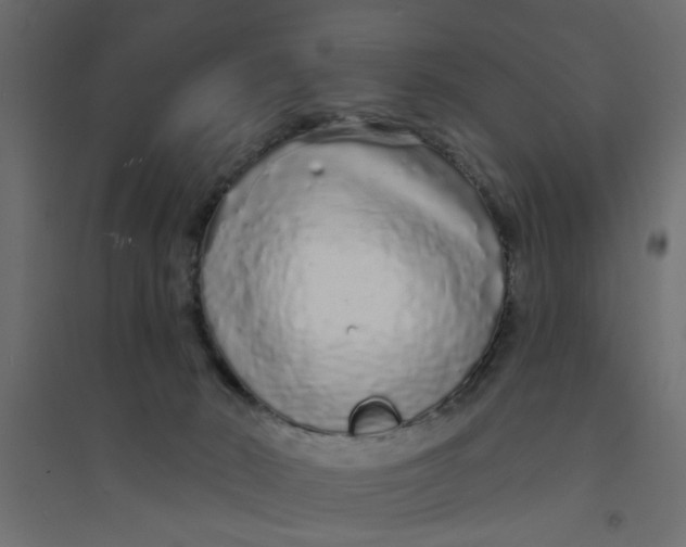 X0000094330030200711241839