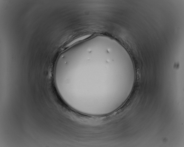 X0000094330032200711241839