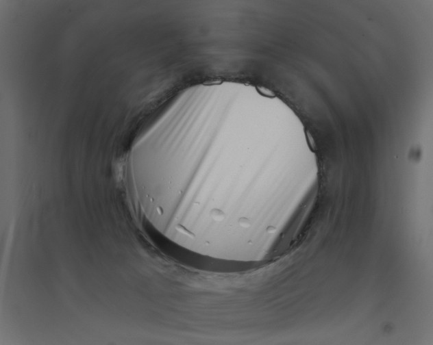 X0000094330033200711241839