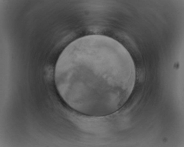 X0000094330036200711241839