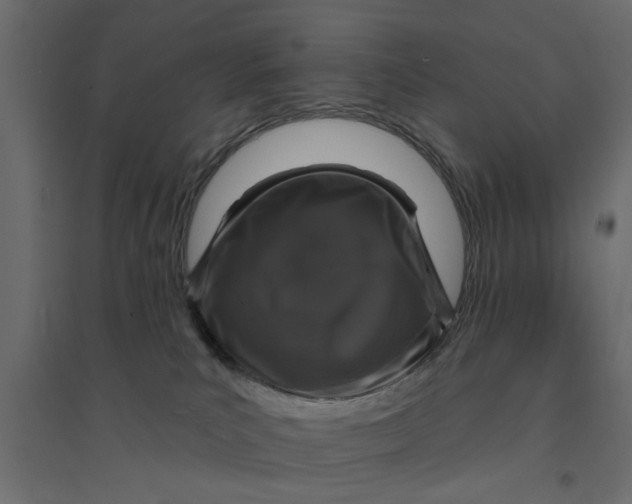 X0000094330039200711241839