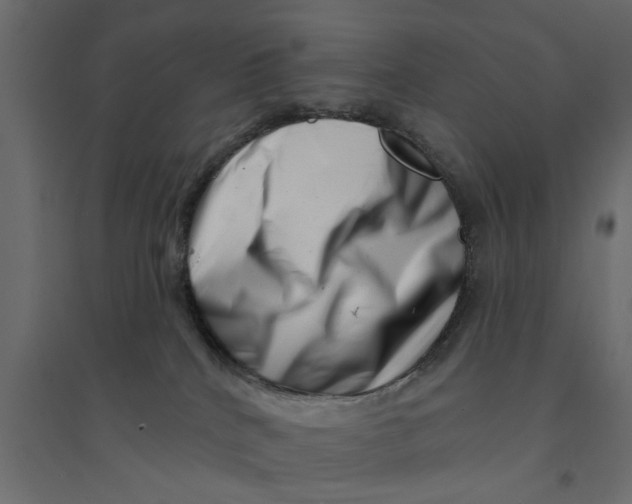 X0000094330040200711241839