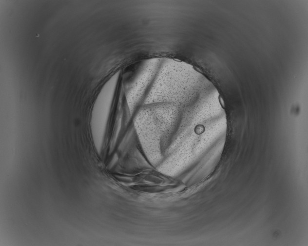 X0000094330041200711241839