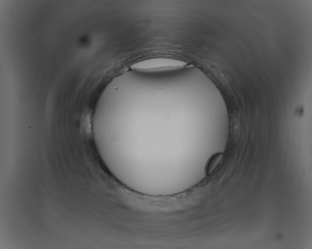 X0000094330042200711241839