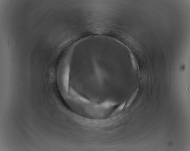 X0000094330043200711241839