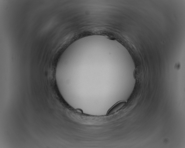 X0000094330044200711241839