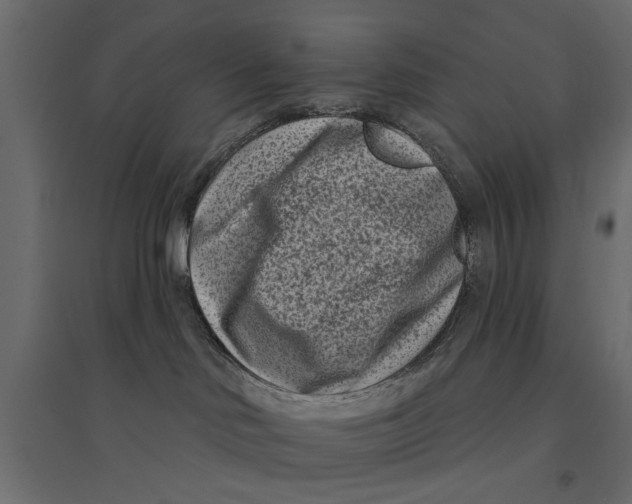 X0000094330046200711241839