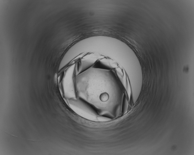 X0000094330047200711241839