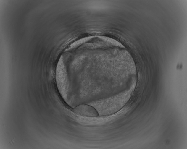 X0000094330048200711241839