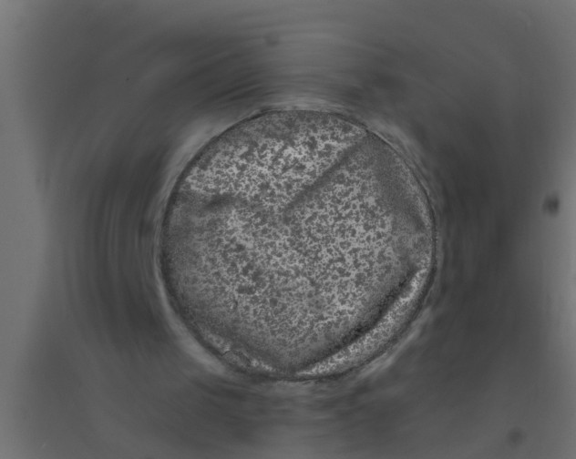 X0000094330049200711241838