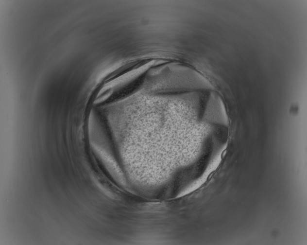 X0000094330050200711241838