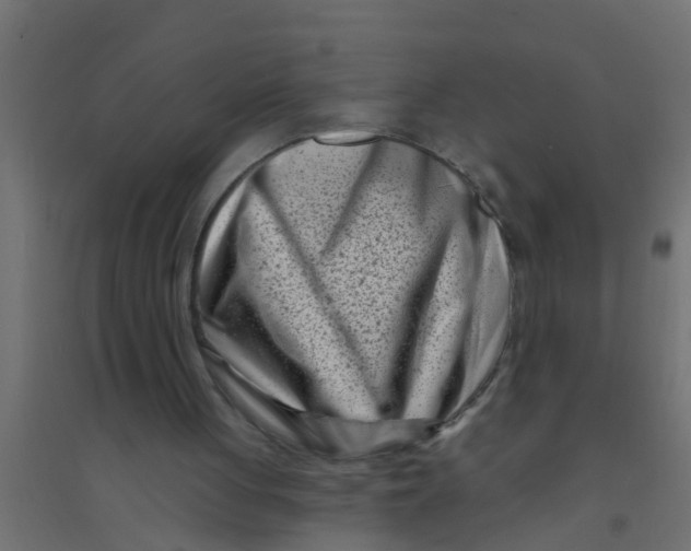 X0000094330051200711241838