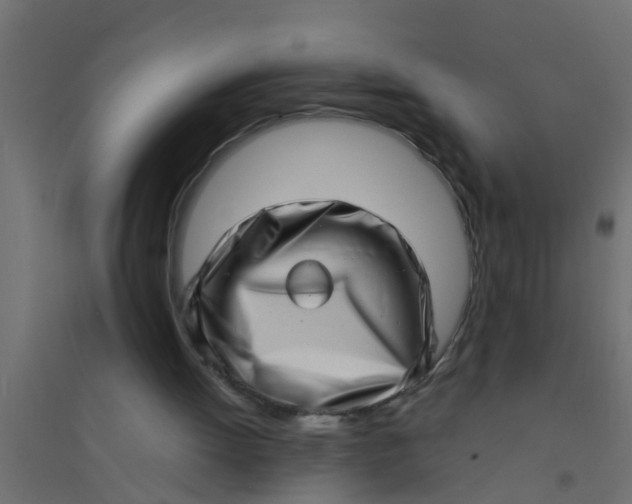 X0000094330052200711241838