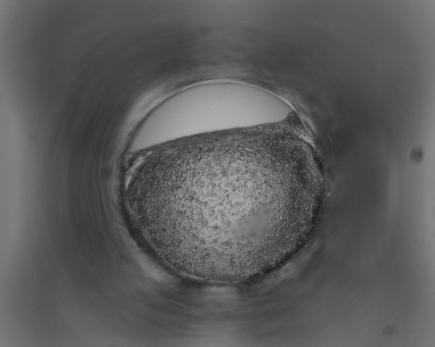 X0000094330053200711241838