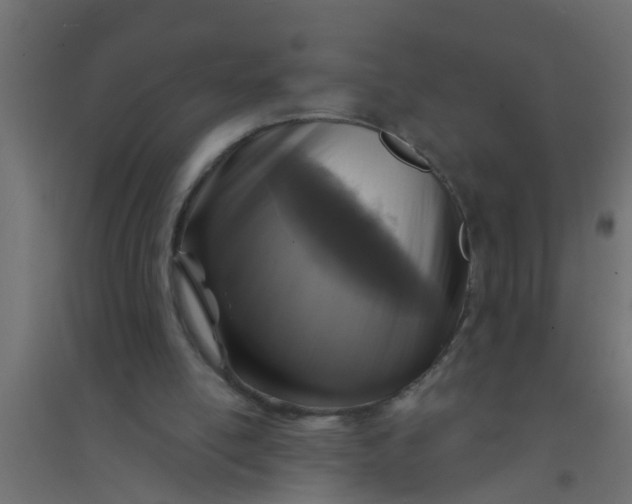 X0000094330054200711241838