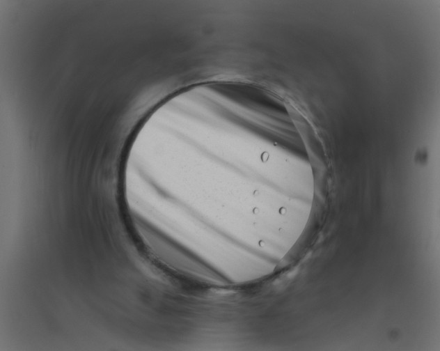 X0000094330055200711241838