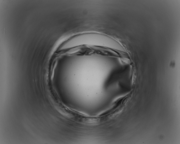 X0000094330056200711241838