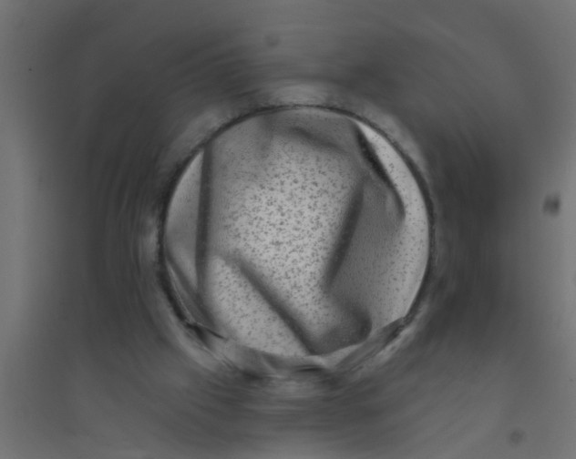 X0000094330057200711241838