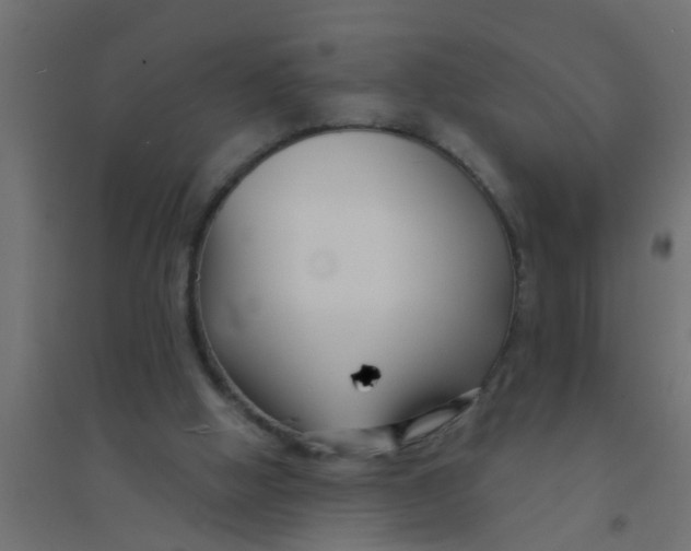 X0000094330058200711241838