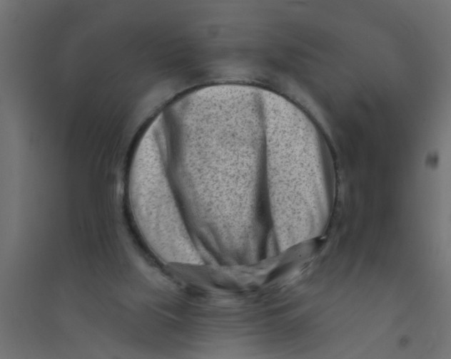 X0000094330059200711241838