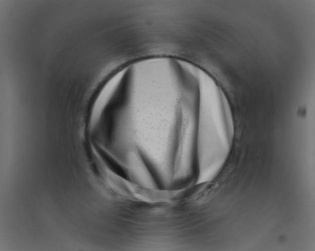 X0000094330060200711241838