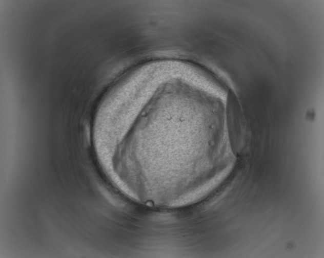 X0000094330061200711241838