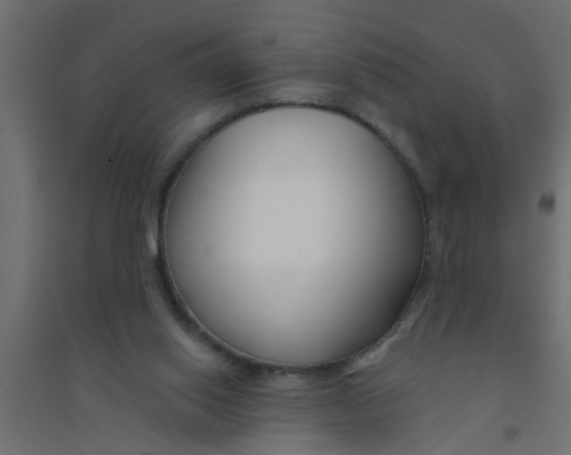 X0000094330062200711241838