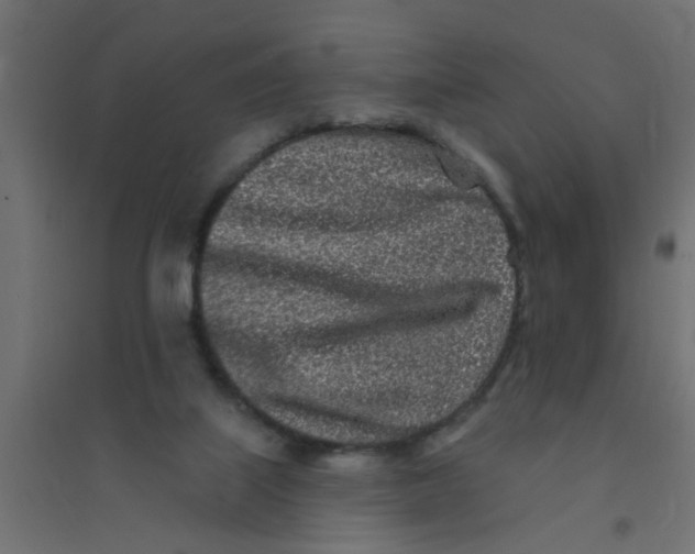 X0000094330067200711241838