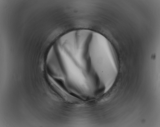 X0000094330068200711241838