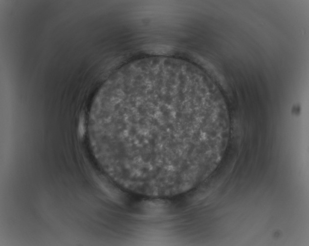 X0000094330069200711241838