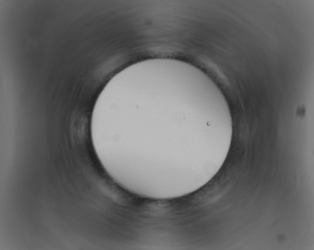 X0000094330071200711241838