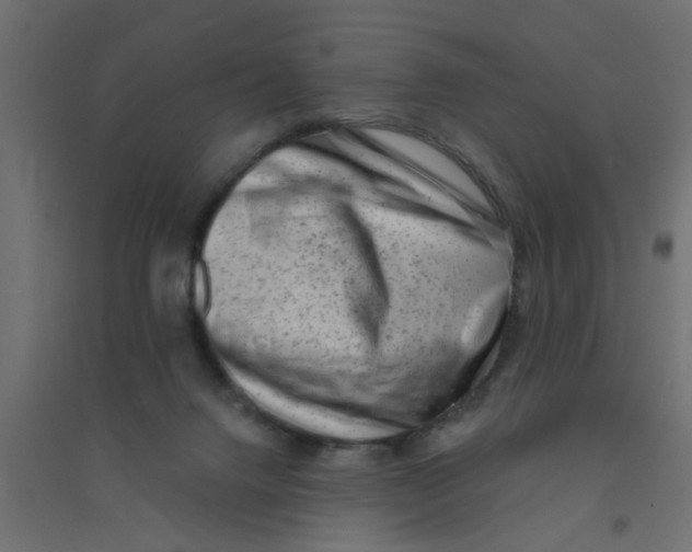 X0000094330072200711241839