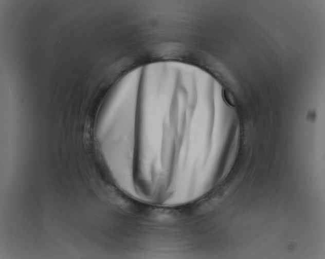 X0000094330073200711241839