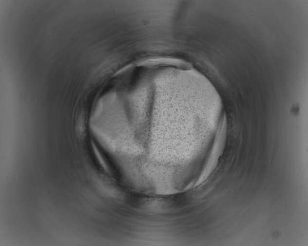 X0000094330074200711241839