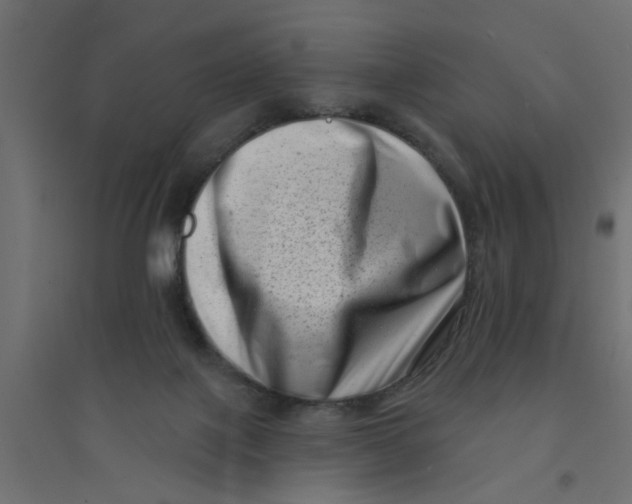 X0000094330075200711241839