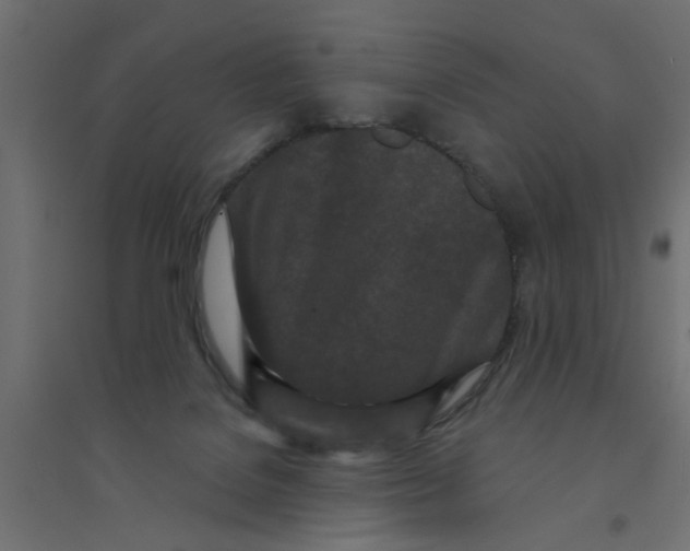 X0000094330076200711241839