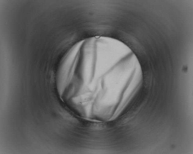 X0000094330077200711241839