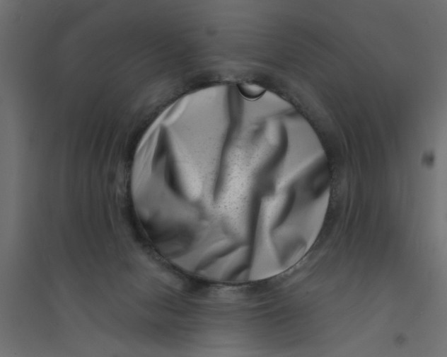 X0000094330078200711241839