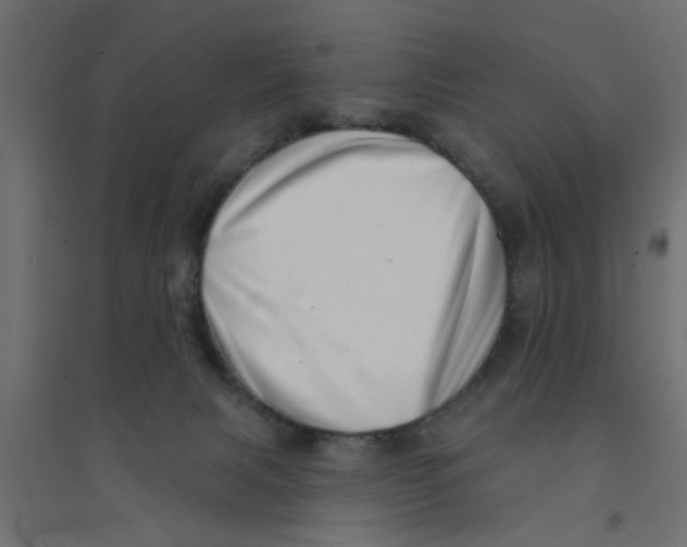 X0000094330079200711241839