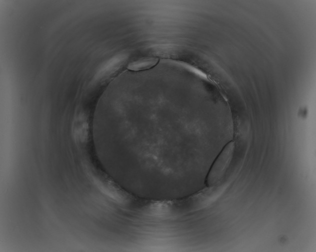 X0000094330080200711241839