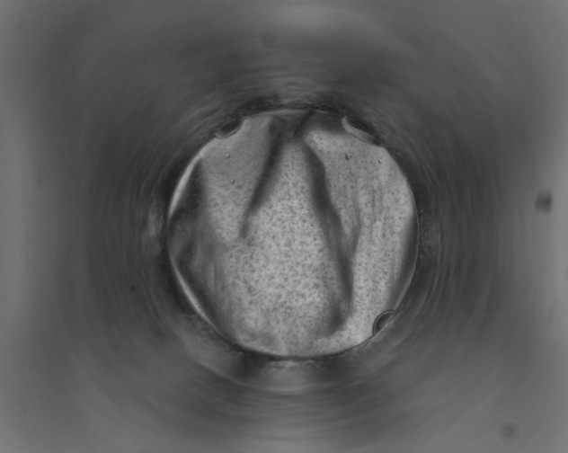 X0000094330082200711241839