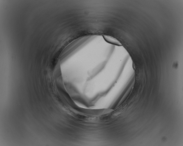 X0000094330084200711241839