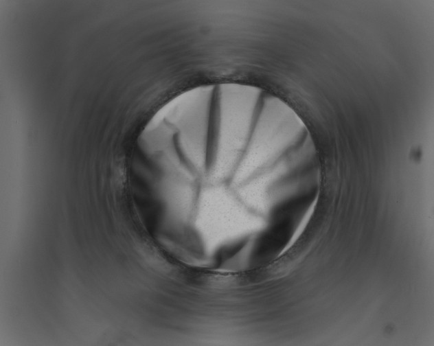 X0000094330085200711241839