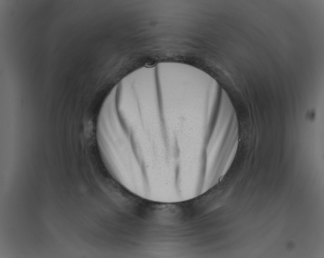 X0000094330087200711241839