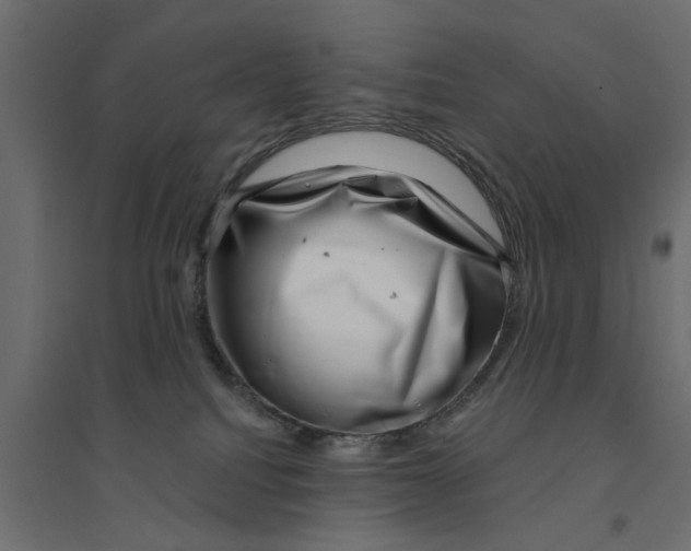 X0000094330088200711241839