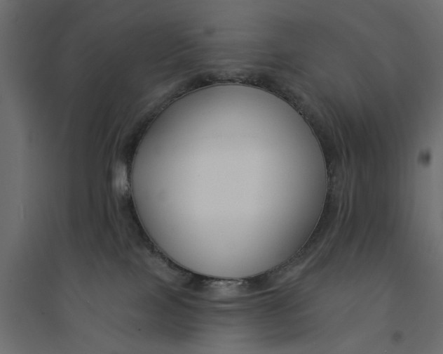 X0000094330089200711241839