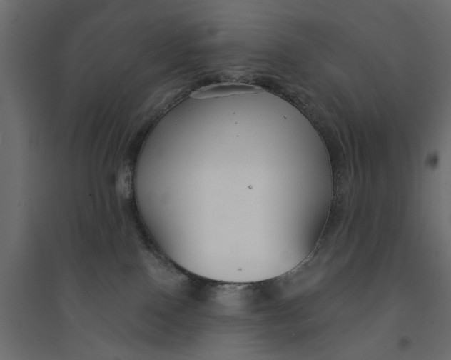 X0000094330090200711241839