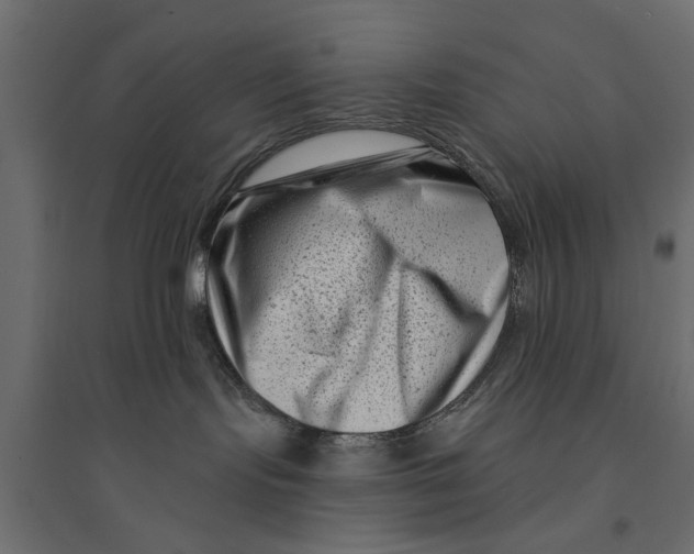 X0000094330095200711241839